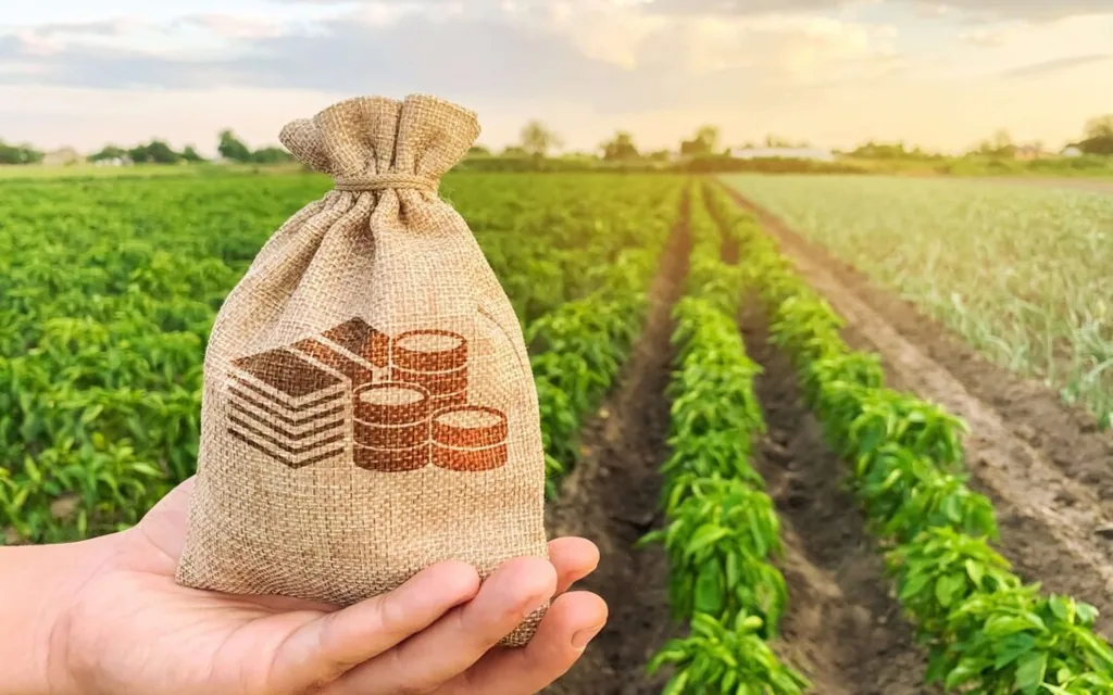 Exportações do agronegócio crescem 1,2% em julho e batem recorde para o mês